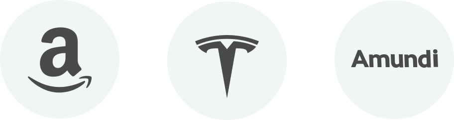 logotypy amazon tesla amundi